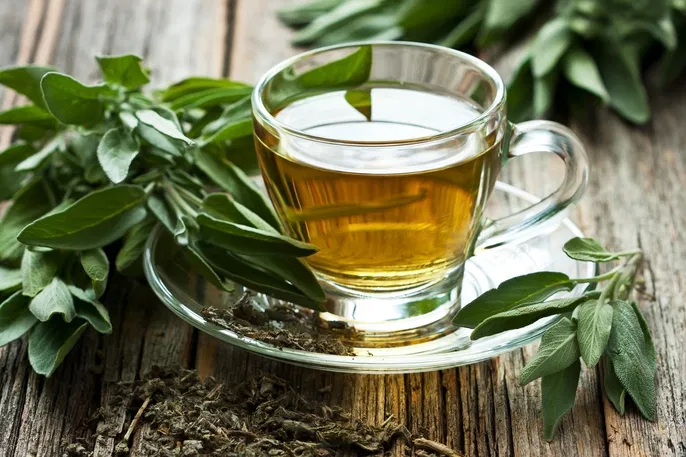 Chá Verde: Para Que Serve, Benefícios e Como Consumir Corretamente